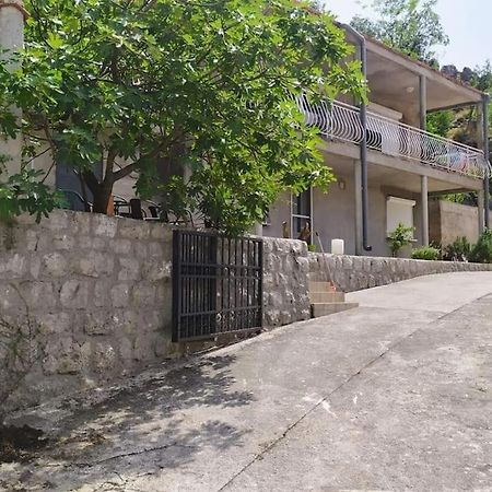 Nature Bay Apartment Kotor Zewnętrze zdjęcie