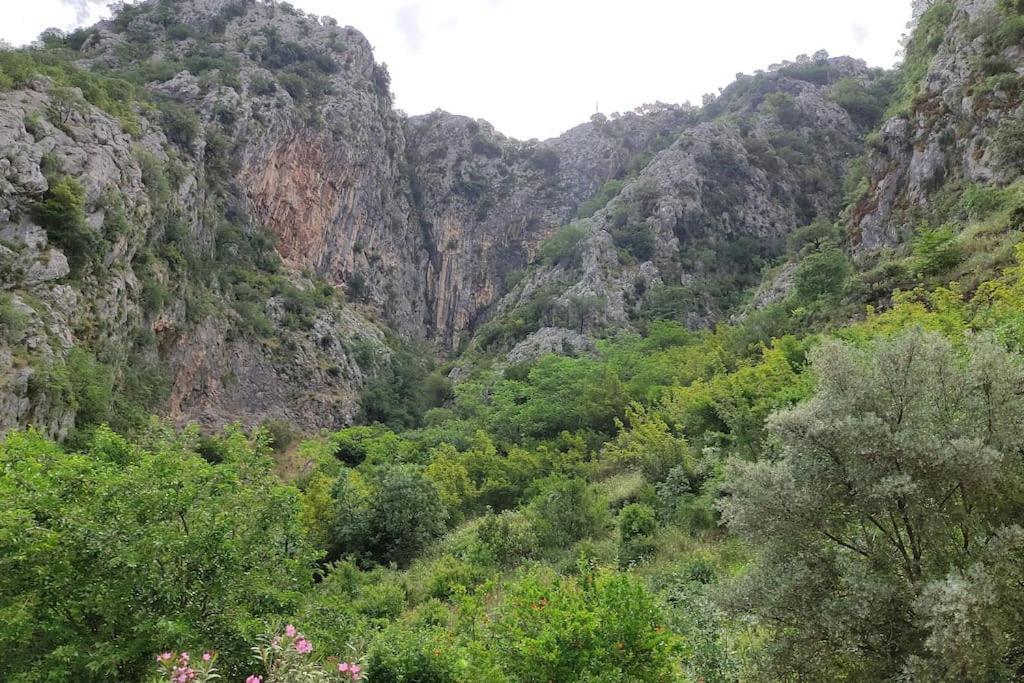Nature Bay Apartment Kotor Zewnętrze zdjęcie